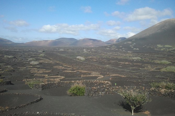 Vineyards of La Geria Hiking Tour - Guided Hike Across Black Sand