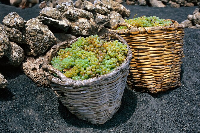 Vineyards of La Geria Hiking Tour - Meeting Point and Pickup Locations