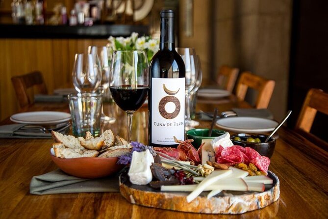 Vineyards, Wine Tasting and Pairing in San Miguel - Pricing and Booking Details