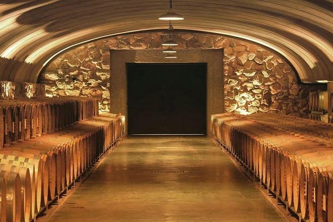 Vineyards With Wine Tasting in Mendoza - Key Points