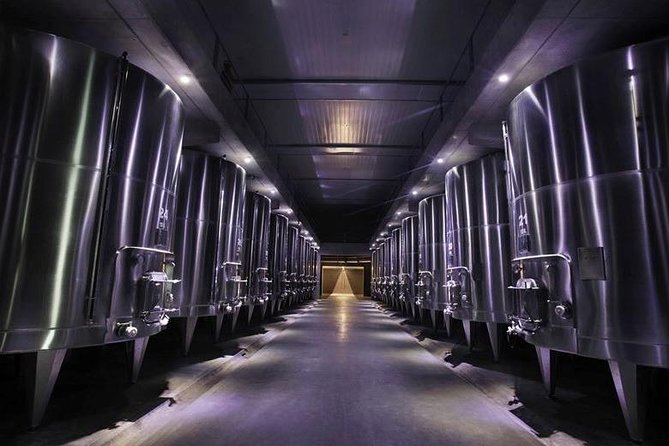 Vineyards With Wine Tasting in Mendoza - Recommendations for Guests