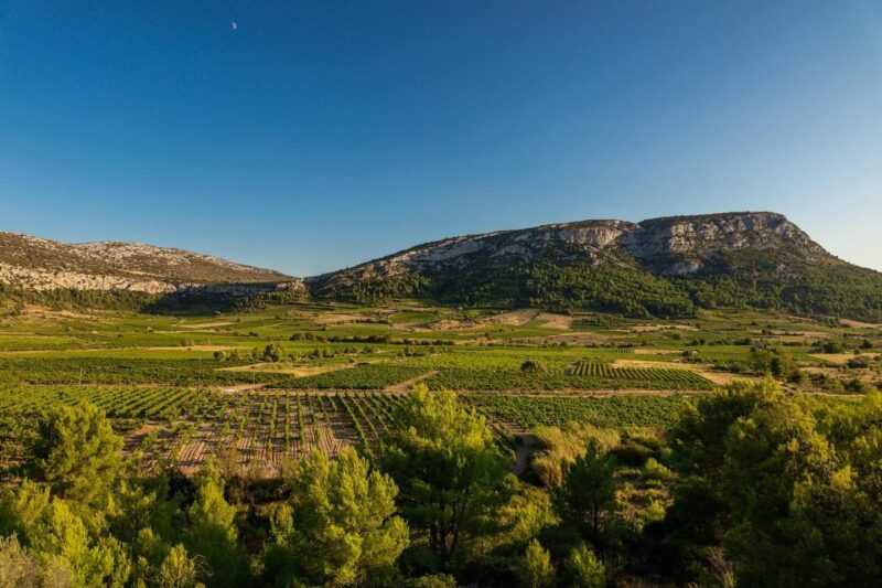 Vingrau: Wine Tasting - Key Points