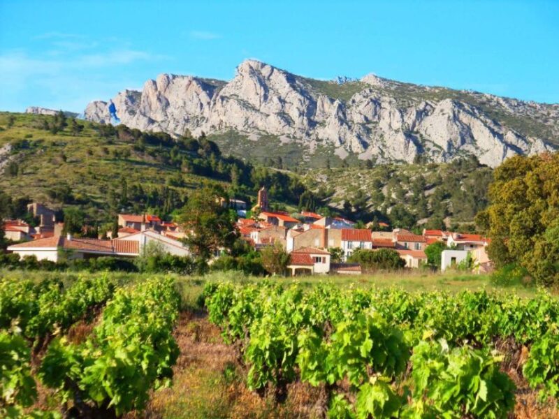 Vingrau: Wine Tasting - Start and End Times
