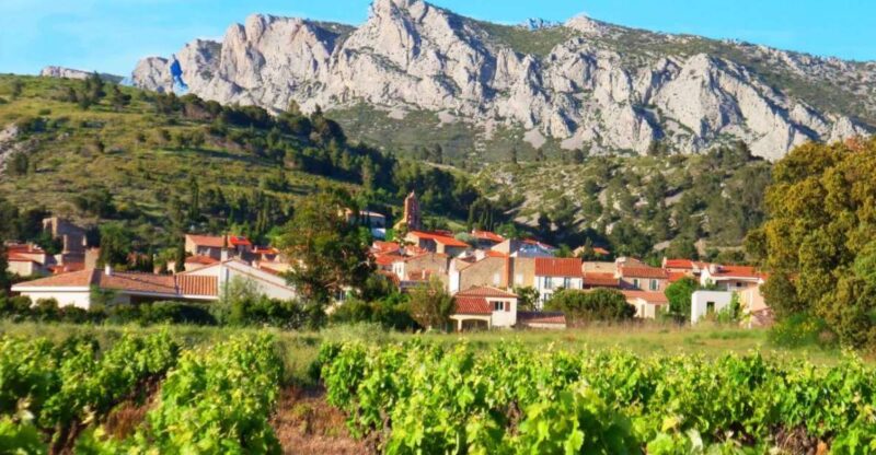 Vingrau: Wine Tasting - Cancellation Policy and Payment