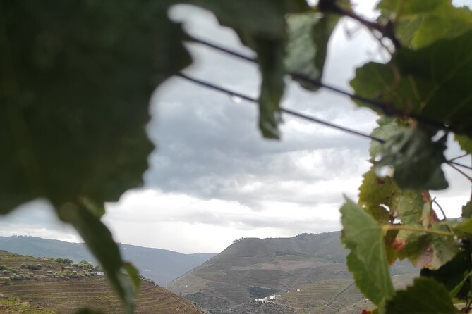 Vinho Verde 2 Wineries + Guimarães - From Porto - Meeting and Pickup Details