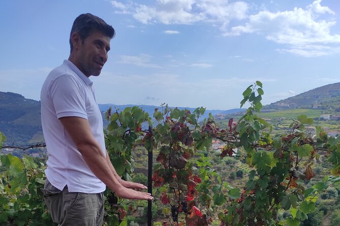 Vinho Verde 2 Wineries + Guimarães - From Porto - Tour Highlights in Guimarães