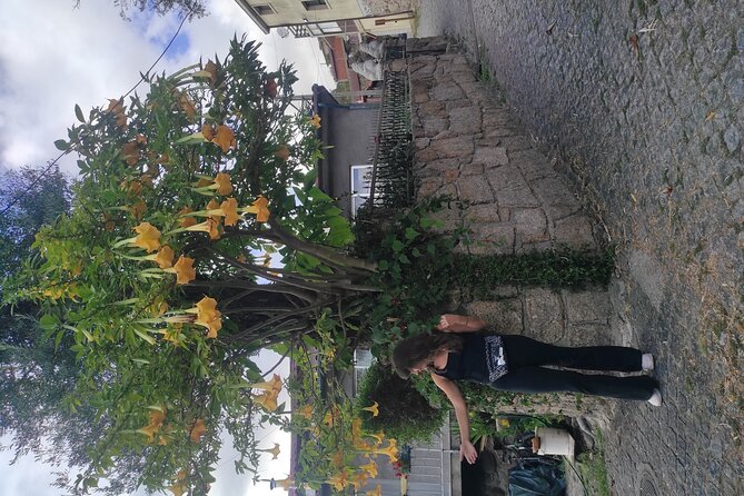 Vinho Verde 2 Wineries + Guimarães - From Porto - Customer Testimonials