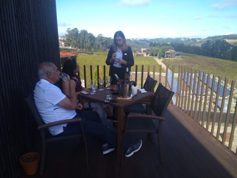 Vinho Verde 2 Wineries + Guimarães - From Porto - Appetizers and Wine Pairing