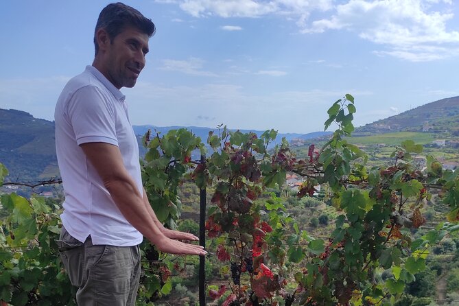 Vinho Verde Experience - Customer Feedback