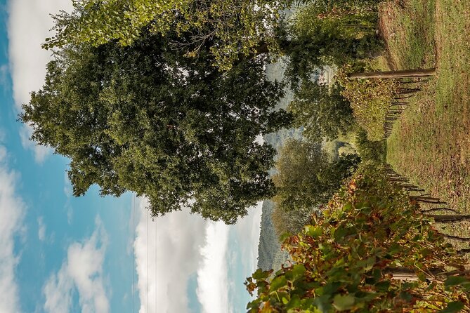 Vinho Verde Experience - Join the Vinho Verde Journey