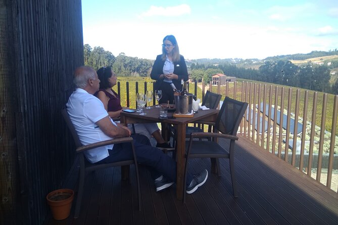 Vinho Verde Experience - Immerse in Vinho Verde Culture