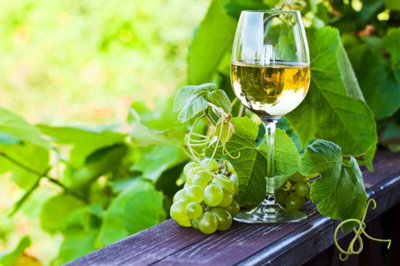 Vinho Verde Full-Day Premium Wine Tour - Inclusions