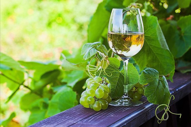 Vinho Verde Private Wine-Tour (All Inclusive) - Booking Information