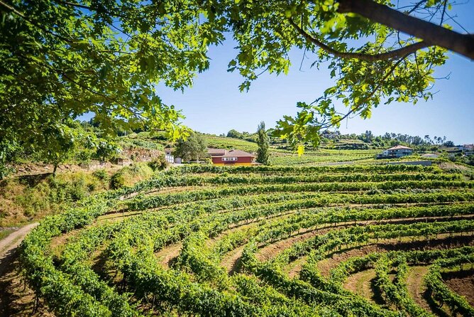 Vinho Verde Private Wine-Tour (All Inclusive) - Customer Support