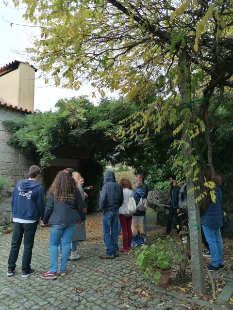 Vinho Verde Private Wine Tour - Vinho Verde Wine Tasting