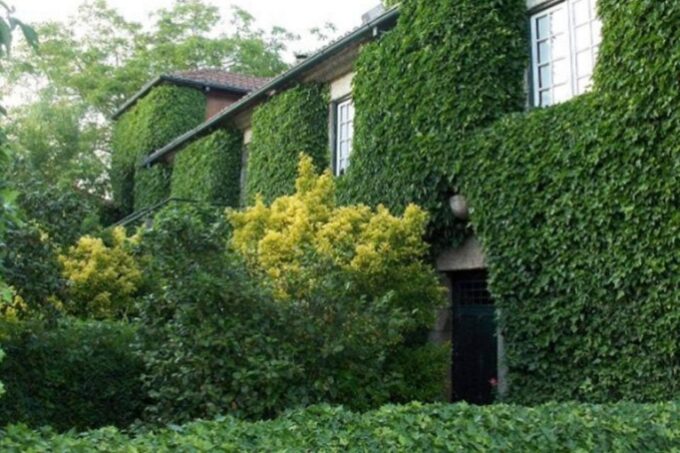 Vinho Verde Private Wine Tour - Memorable Experiences Awaiting