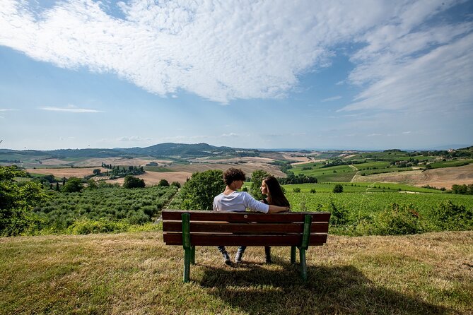 Vino Nobile Di Montepulciano Wine Tour - Meet the Producers - Vineyards and Cellars