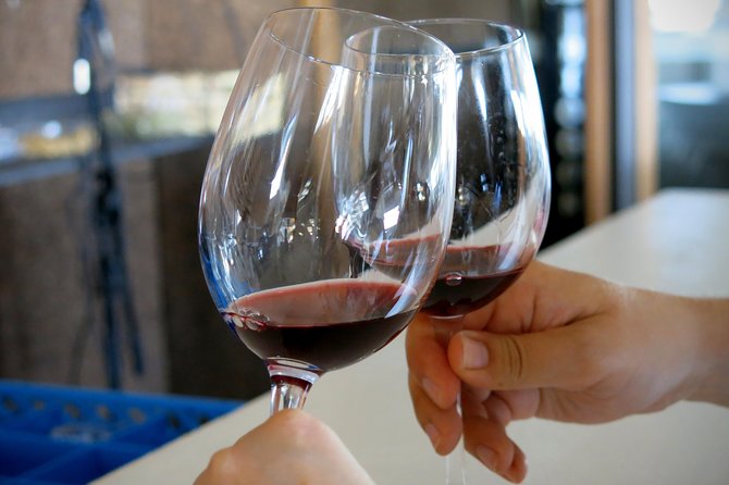 Vino Venture: Explore With a Local - Troodos Mountains Thru Wine! - Expansive Wine Tastings