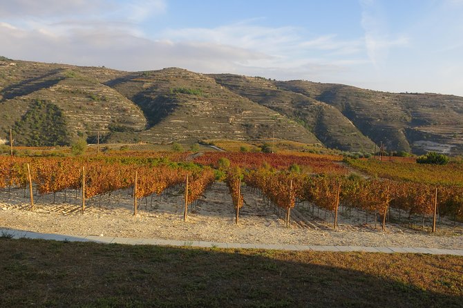 Vino Venture: Explore With a Local - Troodos Mountains Thru Wine! - Tasting Experiences Offered