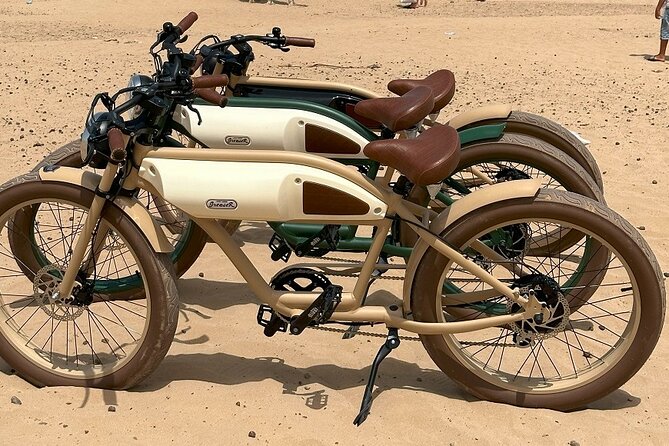 Vintage Electric Bike Rental - Rental Pricing and Options