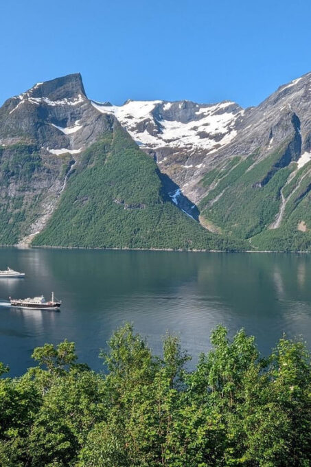 Vintage Fjord Cruise and Wine Tasting With Sommelier - Participation Requirements