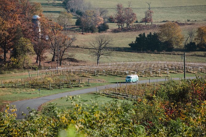 Vintage VW Private Wine Tour in Virginias Countryside - Indulging in Local Delicacies
