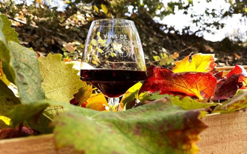 Vintage Wine Tour in Saint-Tropez - Just The Basics