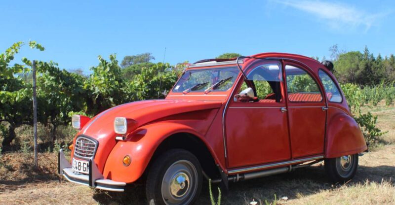 Vintage Wine Tour in Saint-Tropez - Itinerary Options