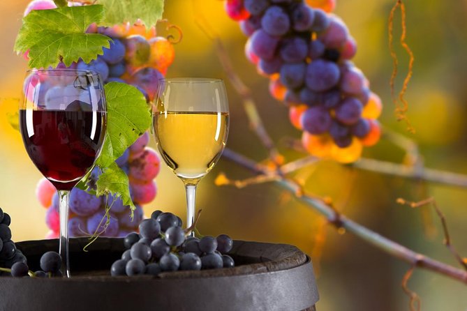 Vinyard Tour By Horse & Carriage With Delicious Tasting - Umbria - Meeting and Pickup
