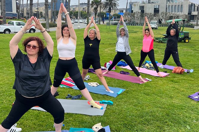Vinyasa Yoga Class on the Beach in Santa Monica - Participation Guidelines