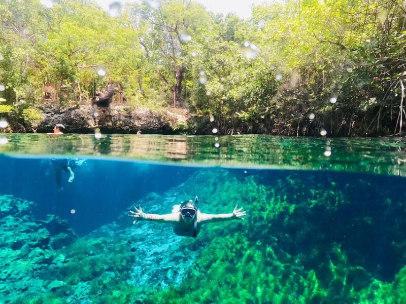 VIP 3 Cenotes Private Tour - Key Points