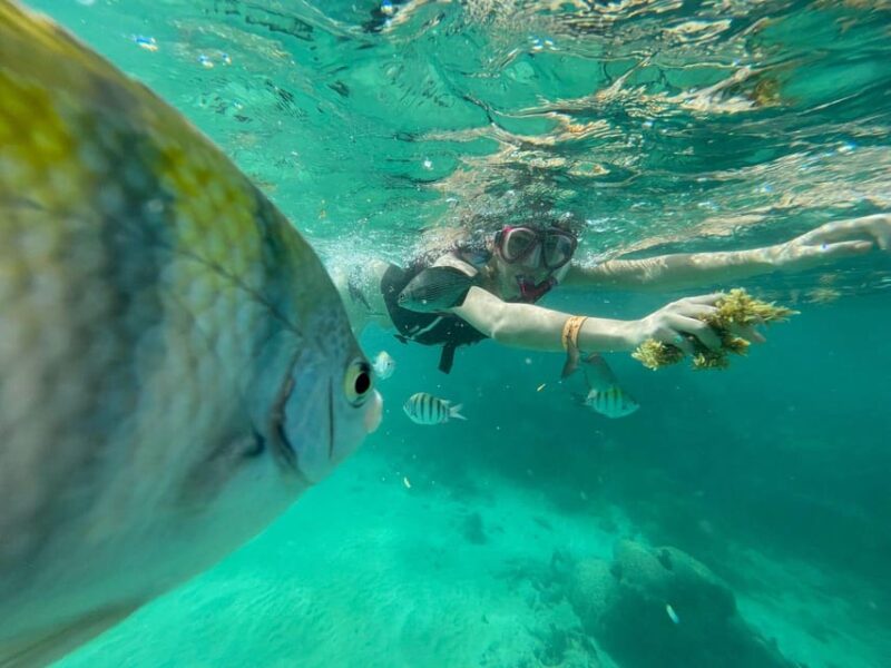 VIP 3 Cenotes Private Tour - Exploring the Cenotes