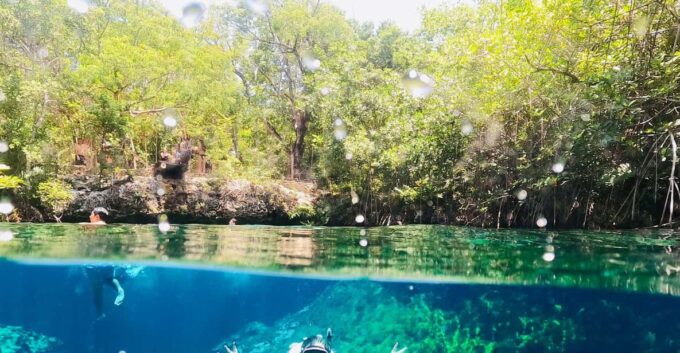 VIP 3 Cenotes Private Tour - Frequently Asked Questions