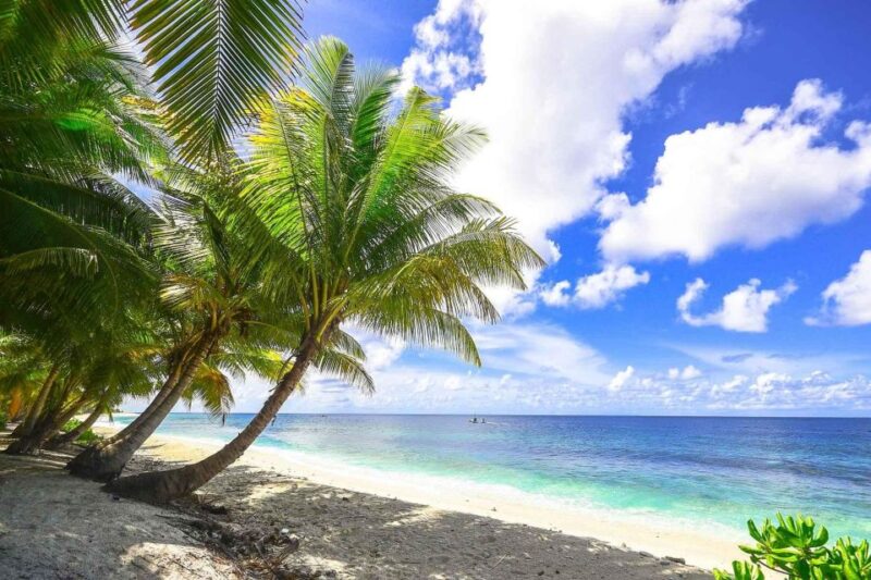 VIP 5 Islands W.Lunch,Rum,Vodka, Beer, Snorkeling, Plankton - Customer Reviews and Feedback