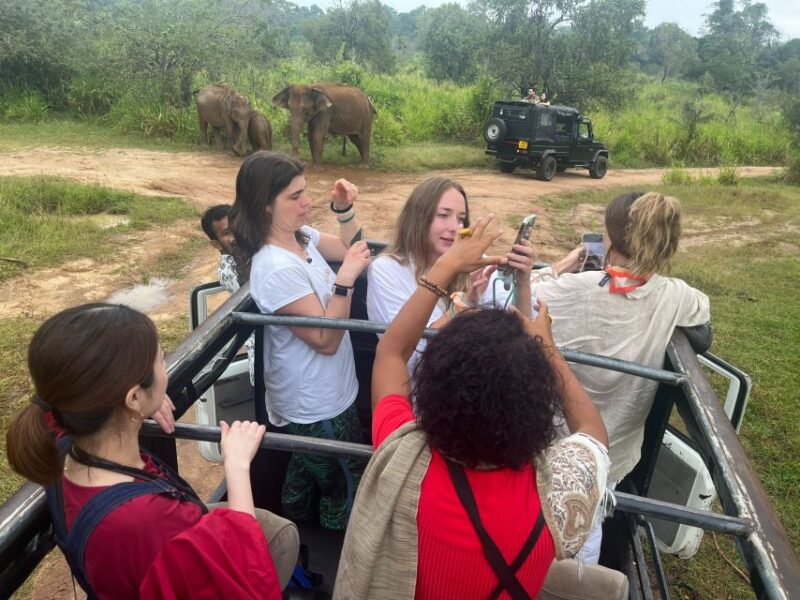 VIP All Inclusive Sigiriya Dambulla & National Park Tour - Key Points