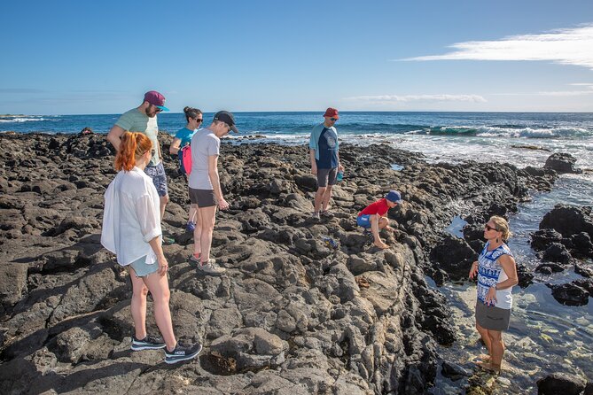 VIP Aloha Style Private Island Tour - Additional Information