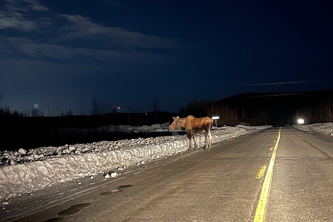 Vip Aurora Adventure From Fairbanks - Inclusions