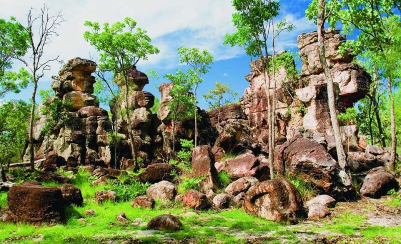 Vip Backpacker Litchfield - Key Points