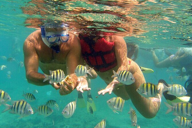 VIP Catamaran with Snorkeling - An In-Depth Look at the VIP Catamaran with Snorkeling Experience