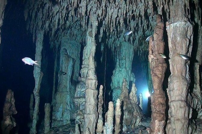 VIP Cenote Scuba Tour, Certified Divers Only - Booking Process