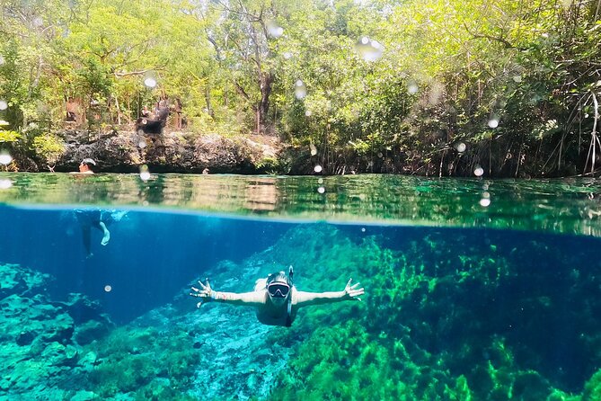 VIP Cenotes & ATVs Private Tour - Reviews