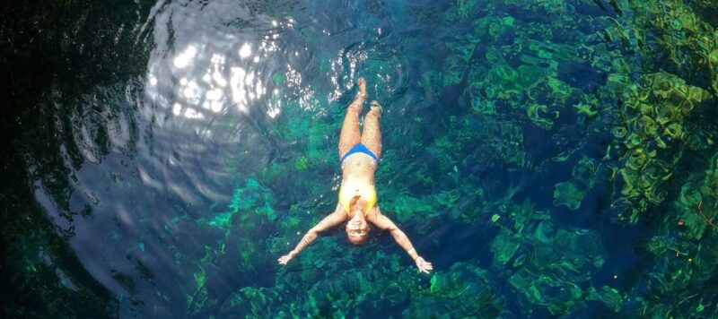 VIP Cenotes Express (Half Day, 2 Cenotes) - Highlights and Unique Features