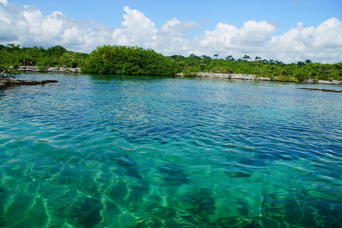 VIP Cenotes Private Tour - Pickup and Meeting
