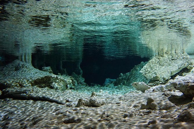 VIP Cenotes Private Tour - Private Experience