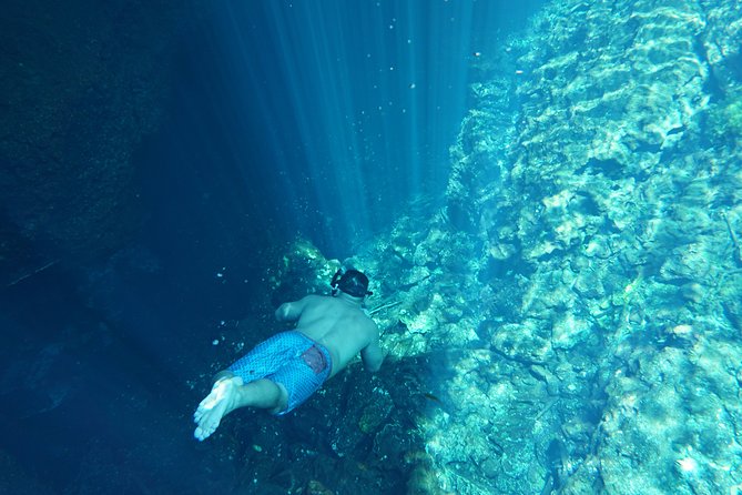 VIP Cenotes Private Tour - Booking and Confirmation