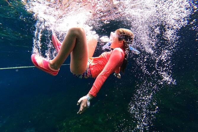 VIP Cenotes Private Tour (half-day) - Pickup Information