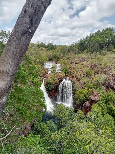 VIP Charters Personalized Tours in the NT in English - Highlights of Tour Offerings