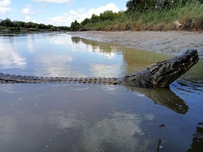 VIP Charters Personalized Tours in the NT in English - Frequently Asked Questions