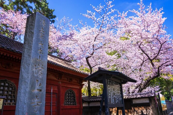 VIP Cherry Blossom Tour by Limousine With Exclusive Dinner - What to Expect on the Tour