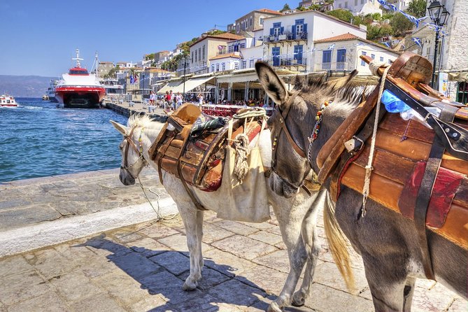 VIP Day Cruise From Athens to Hydra, Poros and Aegina - Customer Feedback